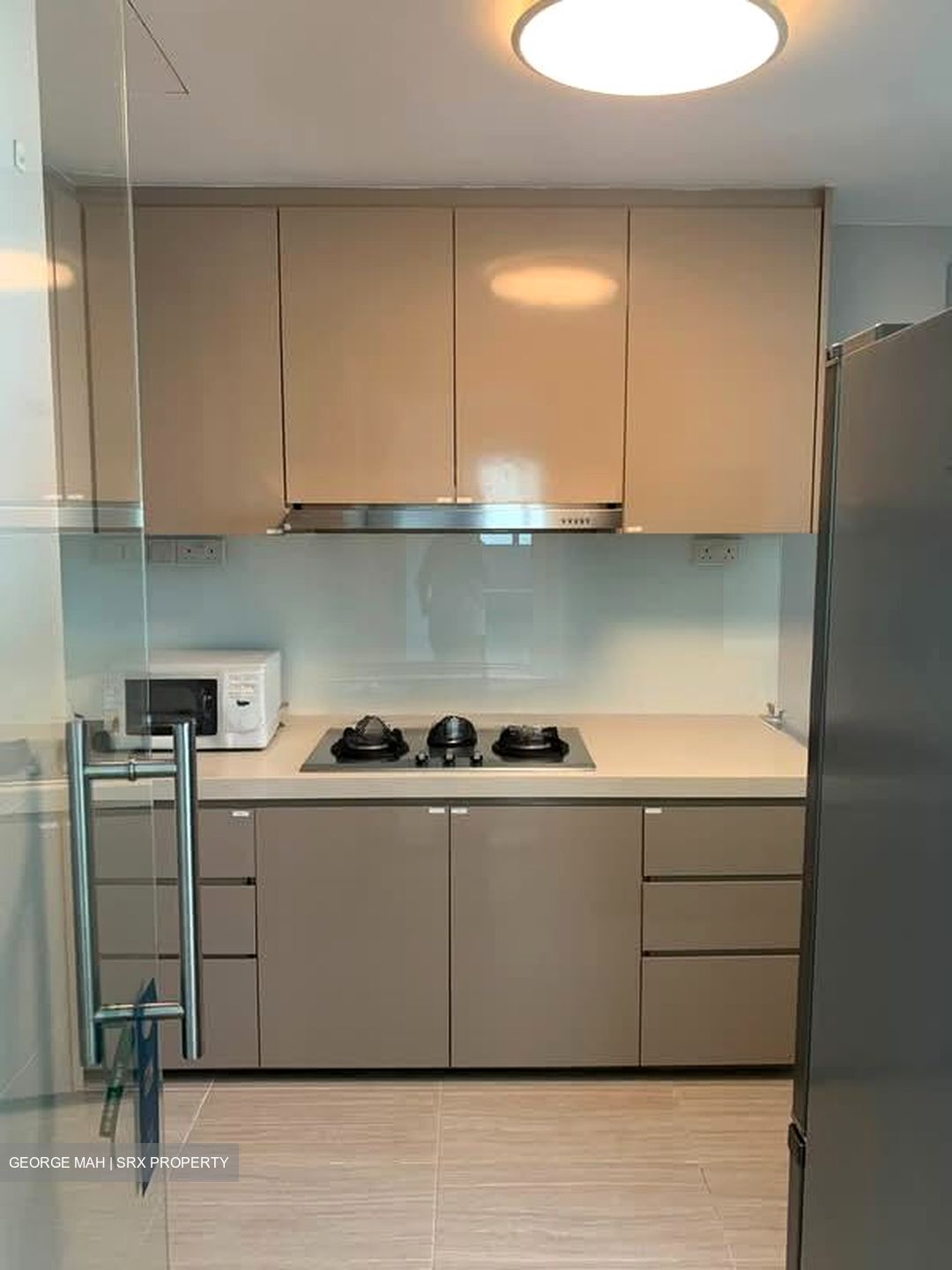 Springdale Condominium (D21), Condominium #561578311